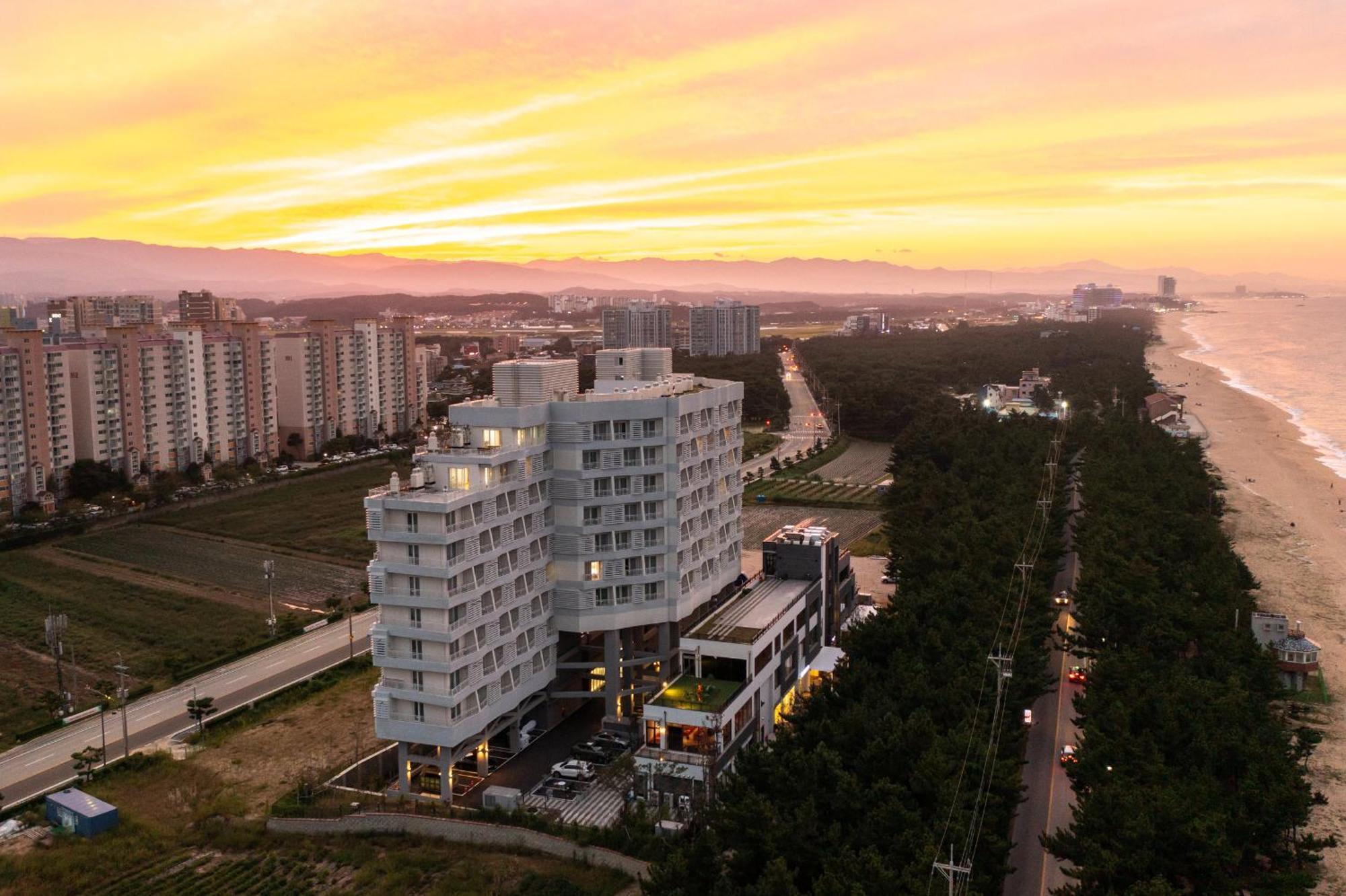 Gangneung Pineart Label Otel Dış mekan fotoğraf